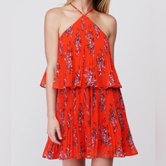 Greylin Dresses & Skirts - Greylin Floral Mini Halter Dress